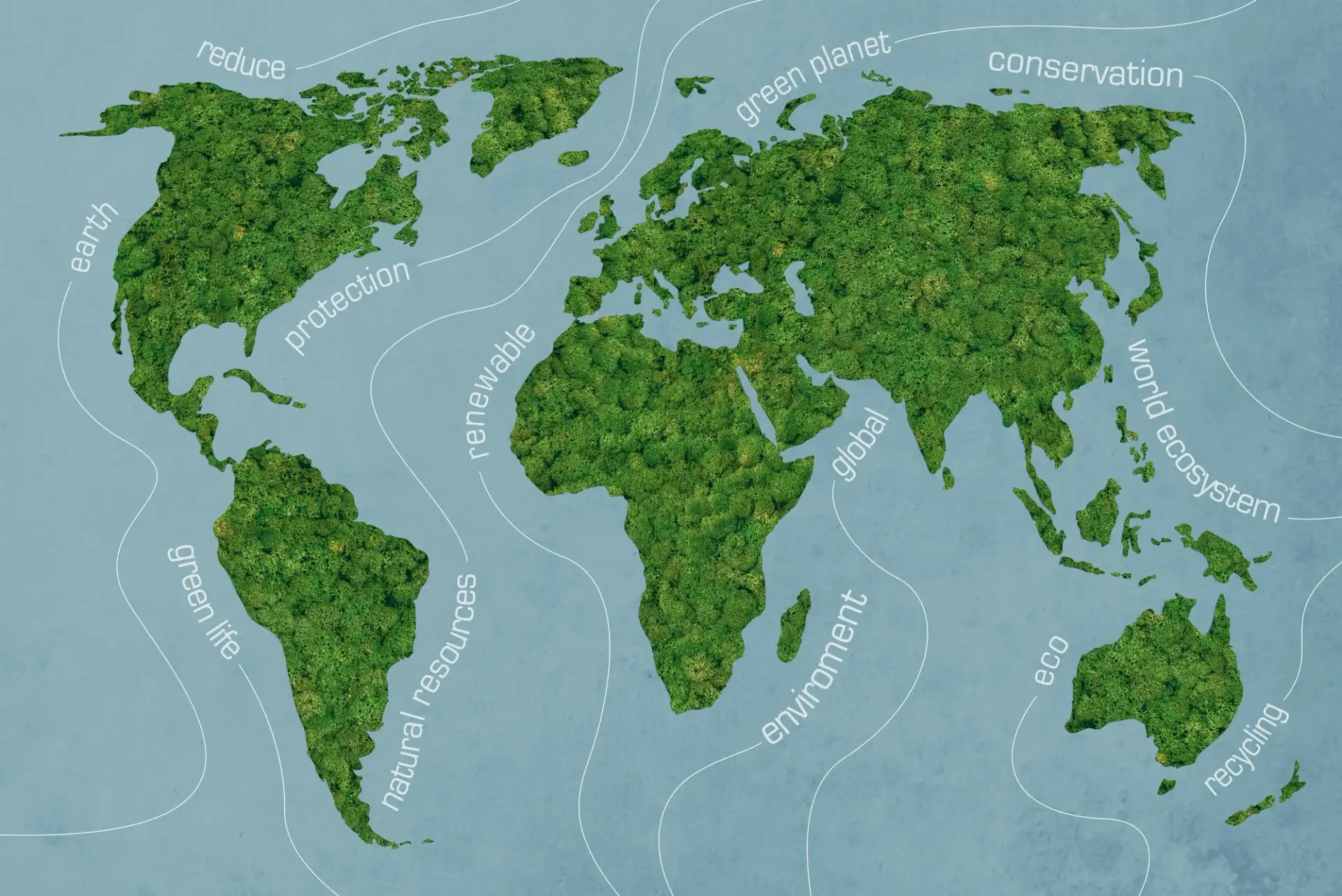 Green world. Close-up image of moss textured world map at the blue background